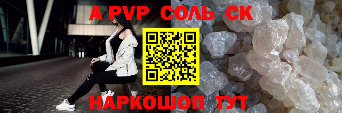 A PVP СК Новошахтинск