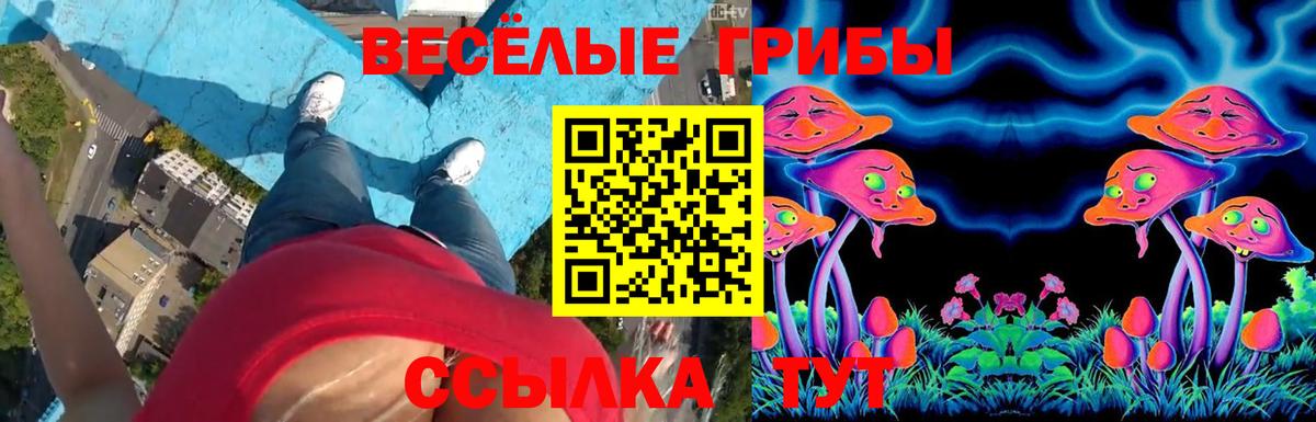Псилоцибиновые грибы прущие грибы  Вход с VPN  Новошахтинск 